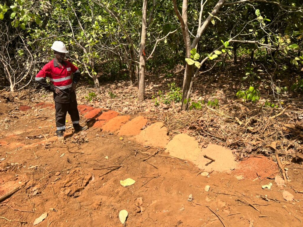 Person working on a soil bed in a garden with trees.